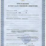 Приложение к Государственной лицензии на выполнение работ и оказание услуг в области охраны окружающей среды на территории РК